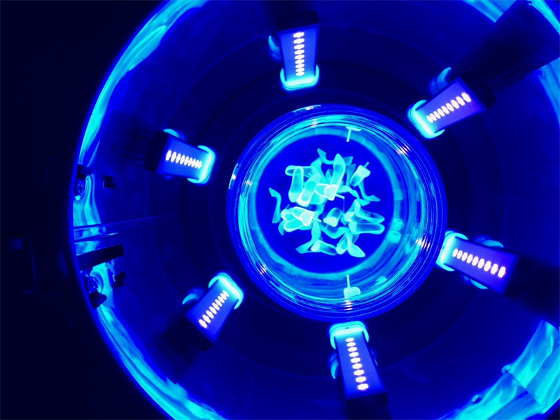 光固化3D打印技術有哪些用途？